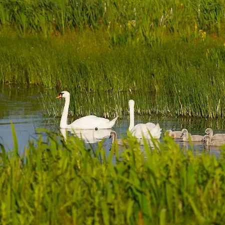 Meadow Semesterbostad *