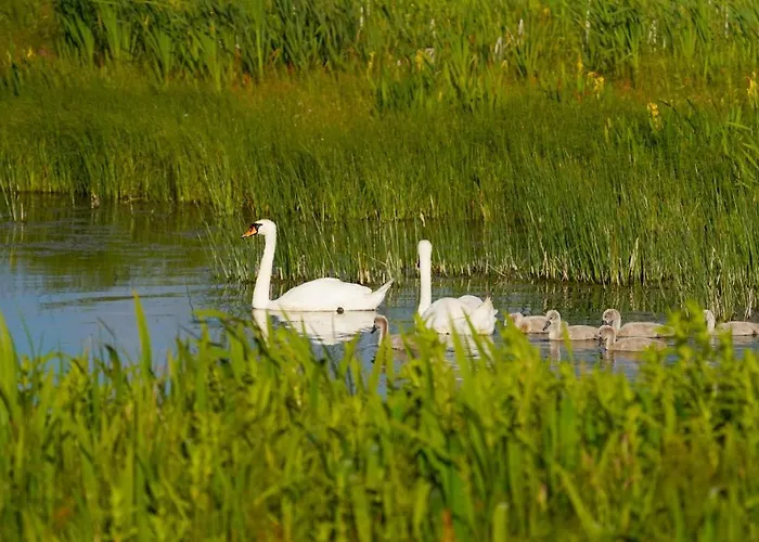 Meadow Semesterbostad *